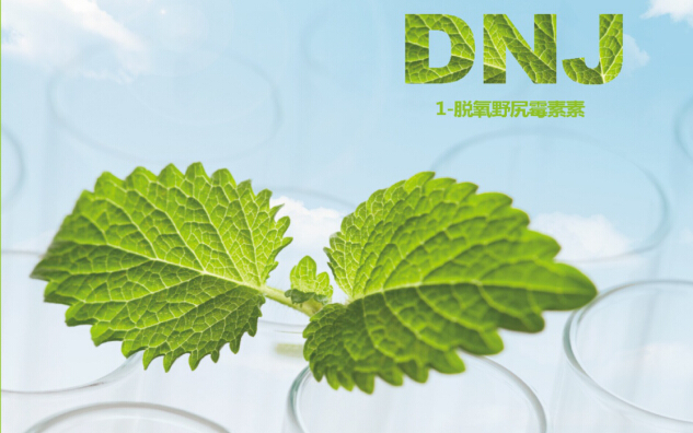 选择DNJ, 认准美瑞桑 选择DNJ, 认准美瑞桑