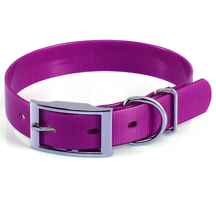 Dayglo dog collars wholesale Clearance