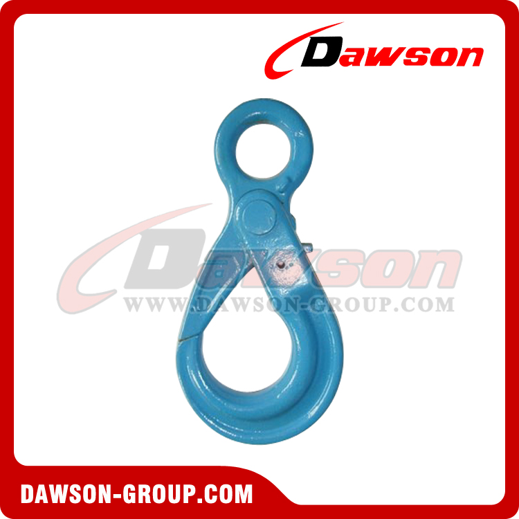 DS1005 G100 European Type Eye Self-Locking Hook - Dawson Group Ltd. - China Manufacturer Supplier