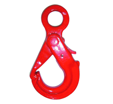 DS077 G80 Eye Self-locking Hook - Dawson Group LTD. - China Manufacturer, Supplier, Factory