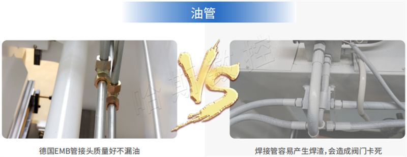 图片10 图片10