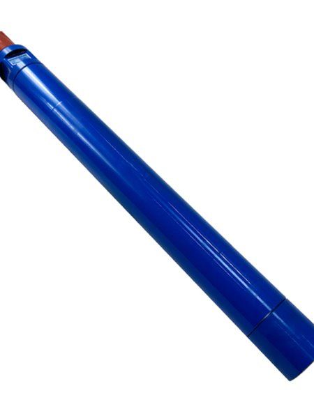 B1